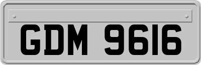 GDM9616