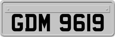 GDM9619