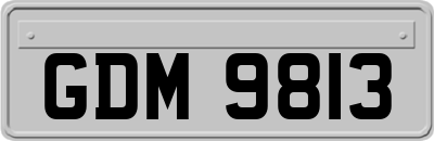GDM9813