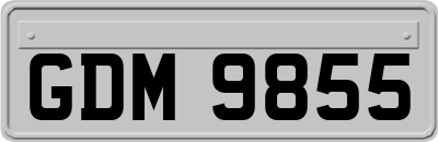 GDM9855
