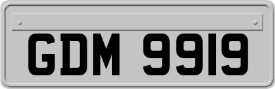 GDM9919
