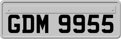 GDM9955