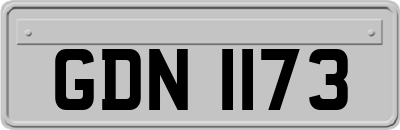 GDN1173