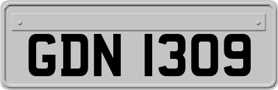 GDN1309