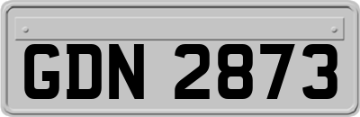GDN2873