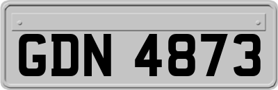GDN4873