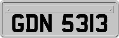 GDN5313