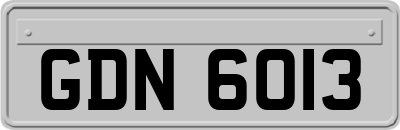 GDN6013