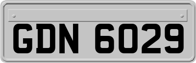 GDN6029