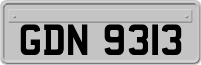GDN9313