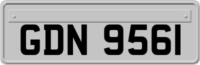 GDN9561