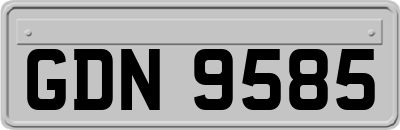 GDN9585