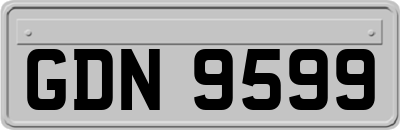 GDN9599