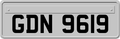 GDN9619