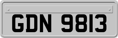 GDN9813