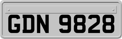 GDN9828