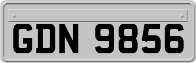 GDN9856