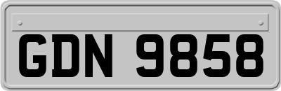 GDN9858