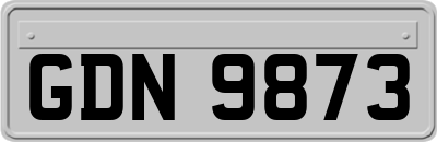 GDN9873