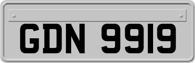 GDN9919