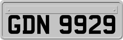 GDN9929