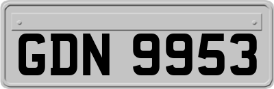 GDN9953