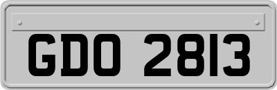 GDO2813