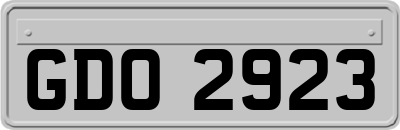 GDO2923