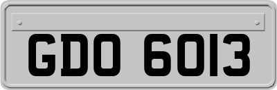 GDO6013