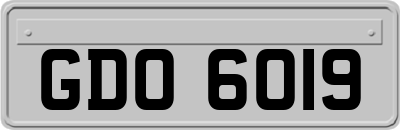 GDO6019