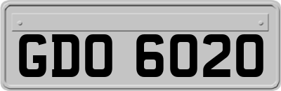 GDO6020
