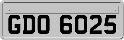GDO6025