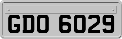 GDO6029