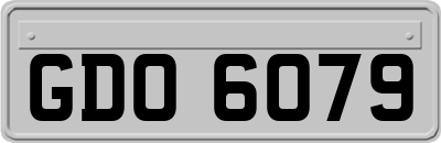 GDO6079