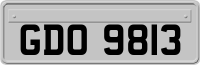 GDO9813
