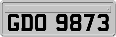 GDO9873
