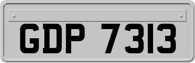 GDP7313