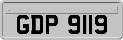 GDP9119