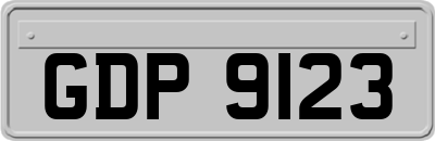 GDP9123