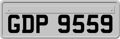 GDP9559