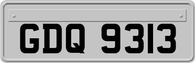 GDQ9313