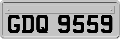 GDQ9559