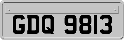 GDQ9813