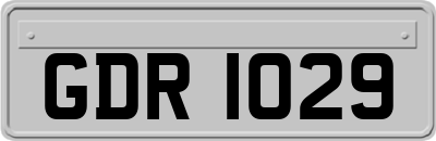 GDR1029