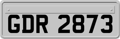 GDR2873