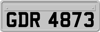 GDR4873