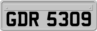 GDR5309
