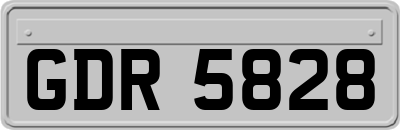 GDR5828