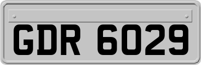 GDR6029