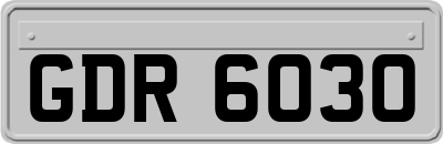 GDR6030